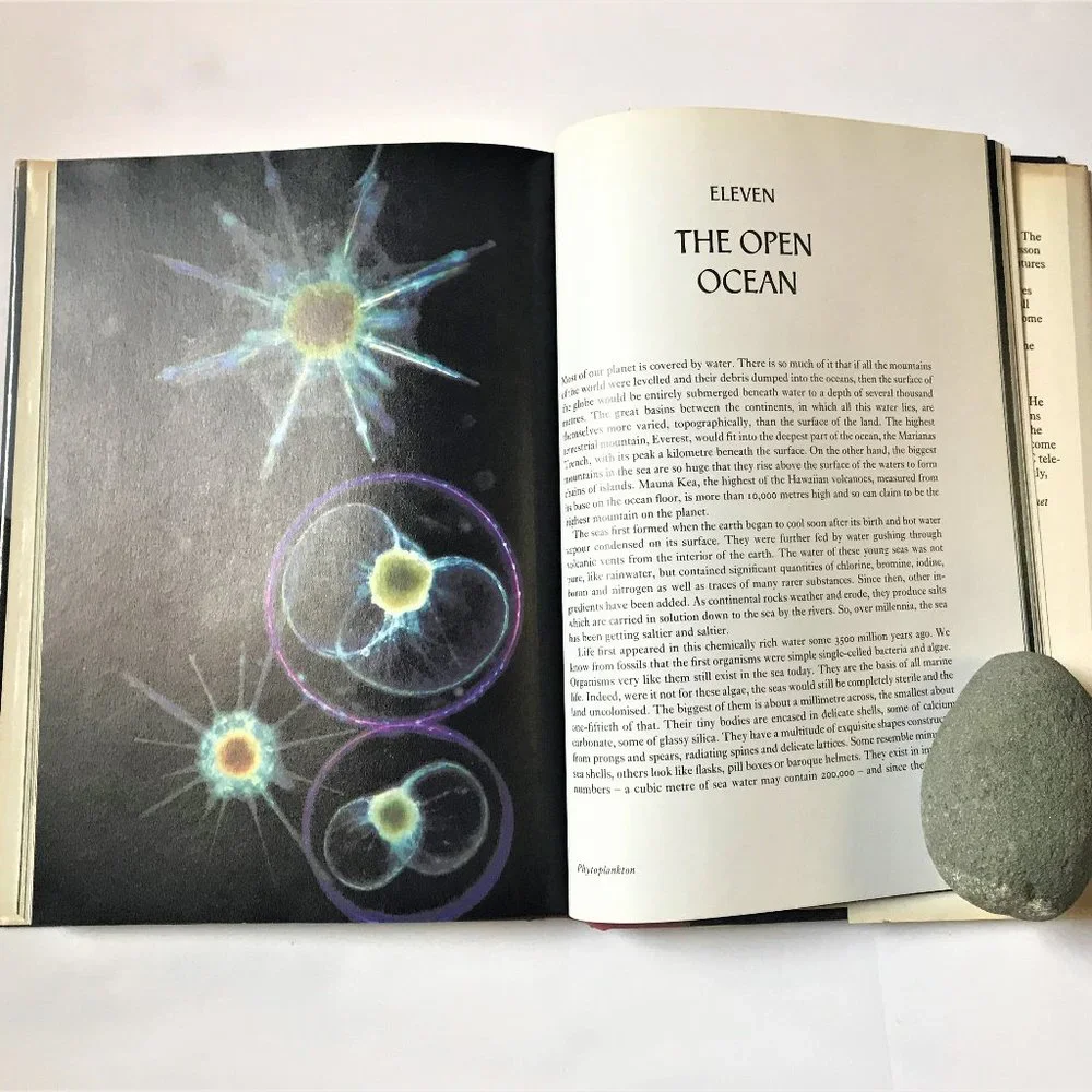 The Living Planet, Inspiration for the PBS TV Series by David Attenborough